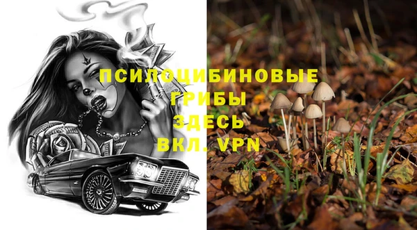 прущая мука Ельня