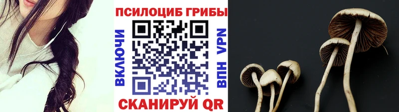 Псилоцибиновые грибы Cubensis  Омск 